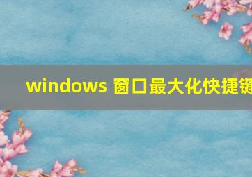 windows 窗口最大化快捷键